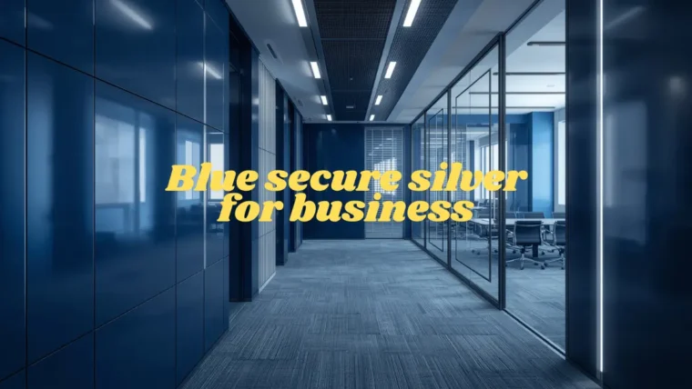 blue secure silver for business