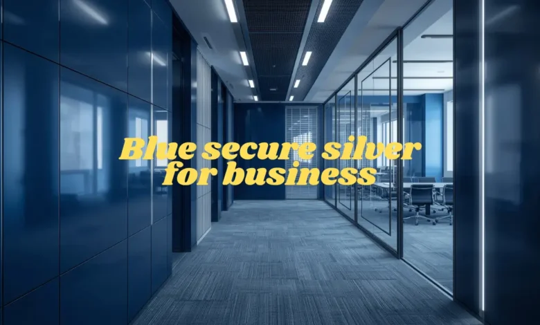 blue secure silver for business